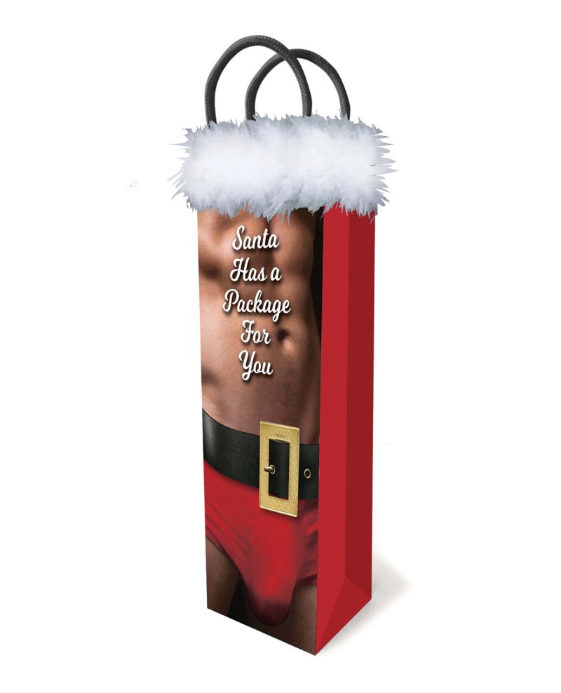 Santa Has A Big Package Gift Bag